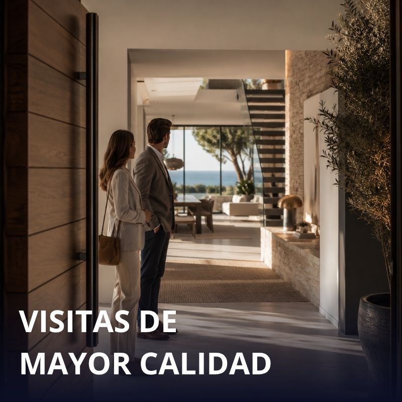 Ionela Sasu | Servicios